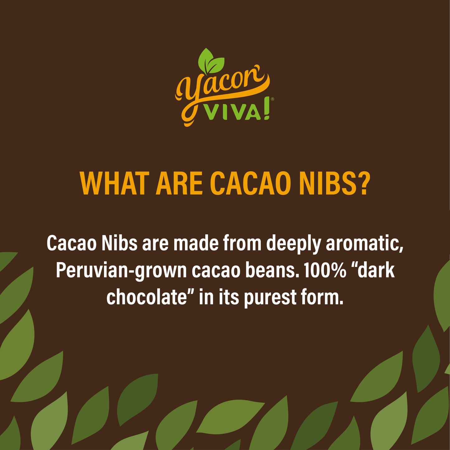 YaconViva! Organic Cacao Nibs Sweetened with Yacon - 300g