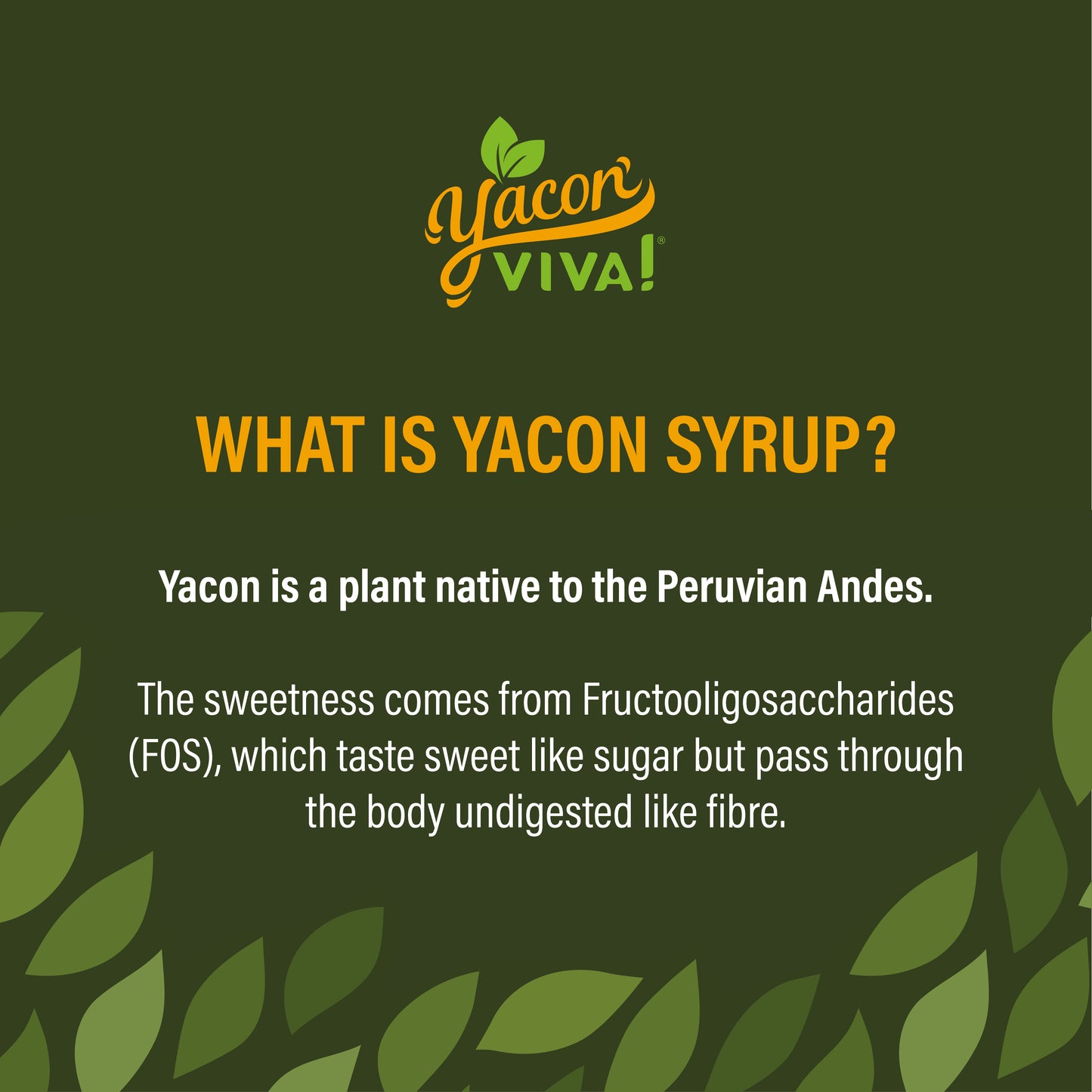 YaconViva! Organic Peruvian Yacon Syrup